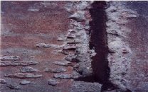 sguardi su venezia 3.jpg (10251 byte)