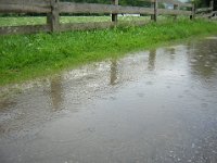 DSCN1922