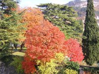 AUTUNNO a Rovereto